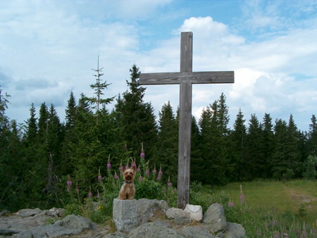 Zřejmě skutečný vrchol Polední hory...