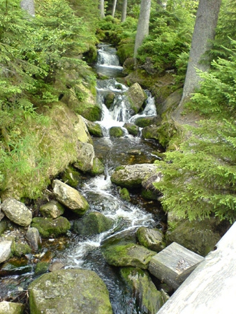 Cestou na Prášilské jezero...